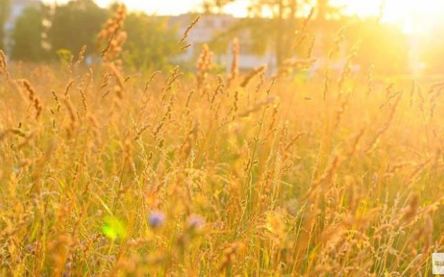 Жара, грозы и дожди: прогноз погоды в Кирово-Чепецке с 9 по 11 мая