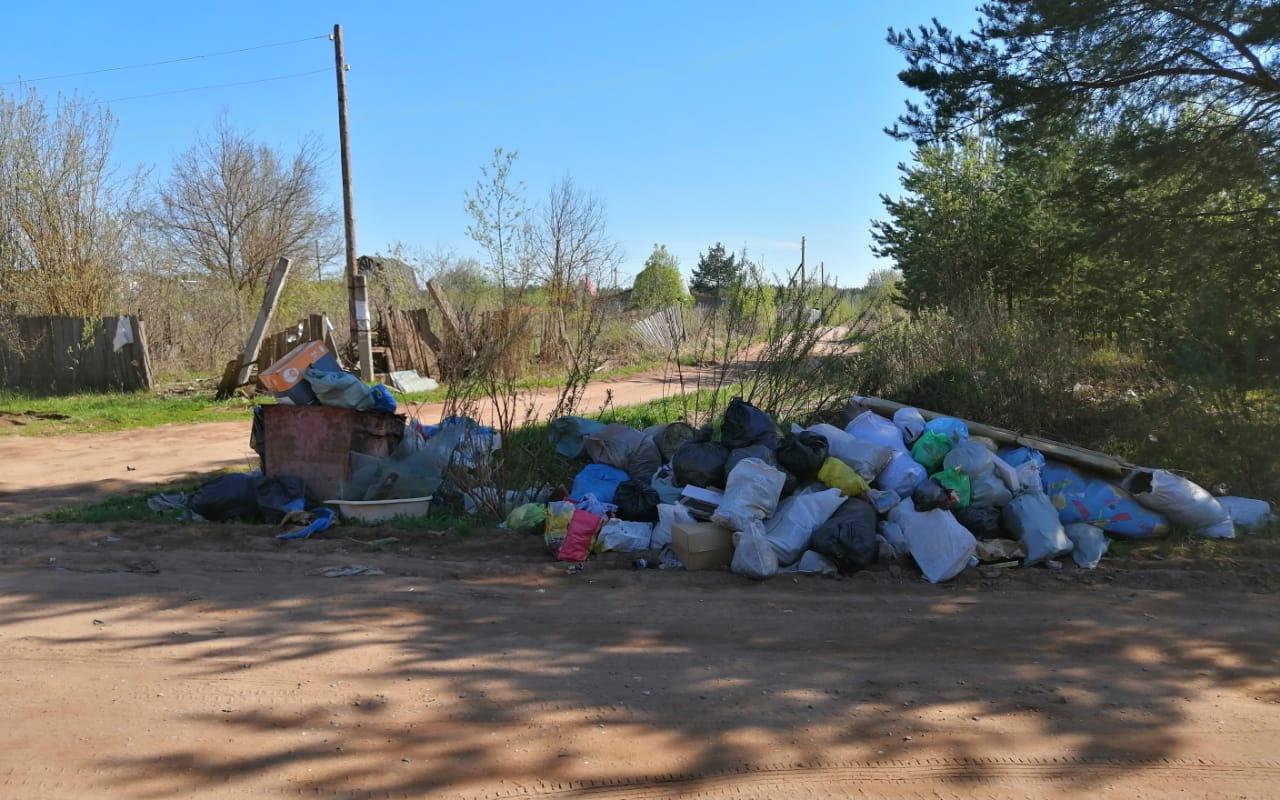 «Отходы вывозят раз в месяц, оставляя горы мусора: жители Чепецкого района жалуются на подрядчиков