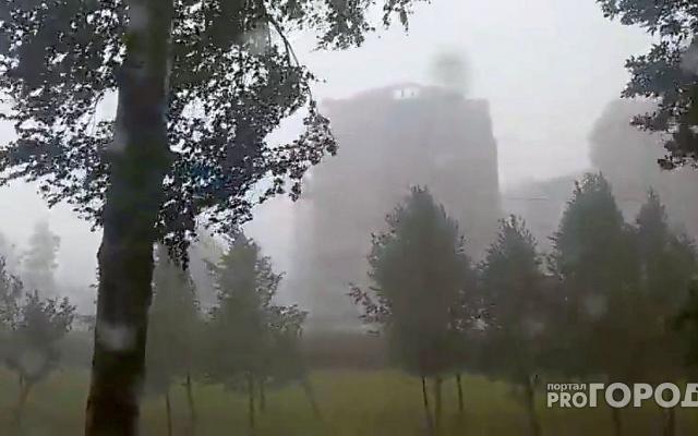 Жителей Кировской области предупреждают об усилении ветра