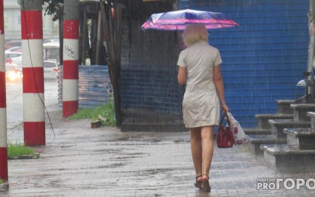 Первая неделя июня в Кирово-Чепецке начнется с дождя: прогноз погоды