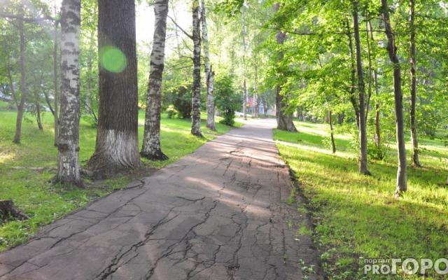 Аномальное похолодание: известен прогноз погоды до конца июня в Кировской области
