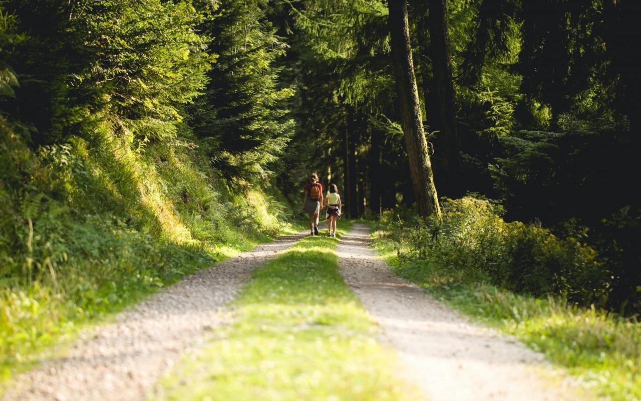 Гороскоп на выходные для всех знаков зодиака: удача для Тельцов и расплата за долги у Раков