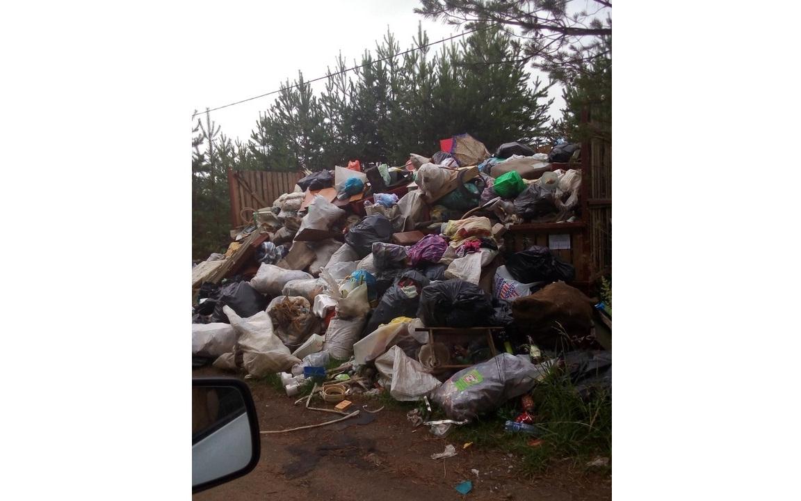 «Отходы не вывозили с прошлого года!»: в садах под Чепецком образовалась куча мусора