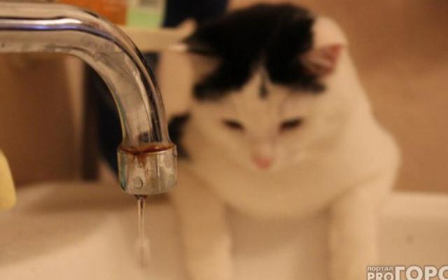 Список домов в Кирово-Чепецке, где до 31 июля не будет горячей воды