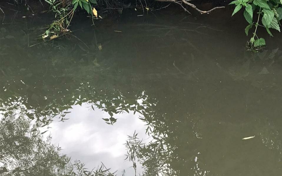 В Кирово-Чепецком районе предприятие сбрасывает опасные стоки в реку