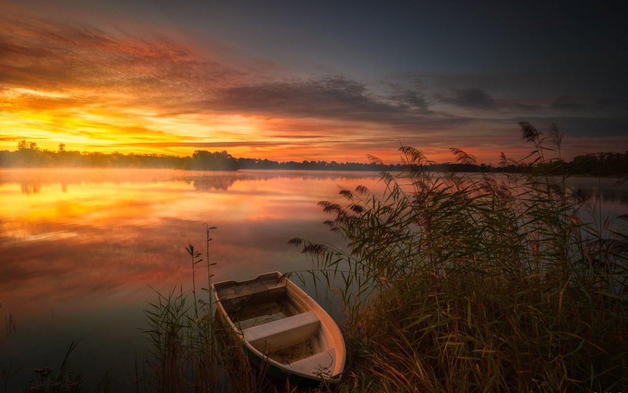 Тельцы получат неприятные известия, а Козерогов окружат соблазны: гороскоп для всех на среду