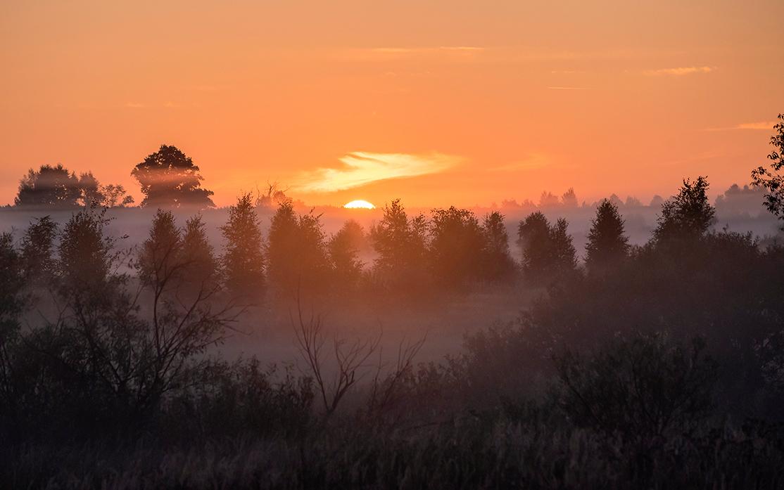 Раки научатся чему-то новому, а Весы заведут приятные знакомства: гороскоп на вторник