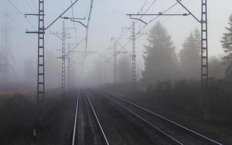 Львам не стоит проявлять активных действий, а Стрельцам заглядывать в будущее: гороскоп на вторник