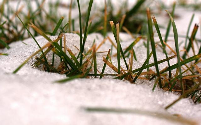 МЧС региона объявило метеопредупреждение из-за заморозков