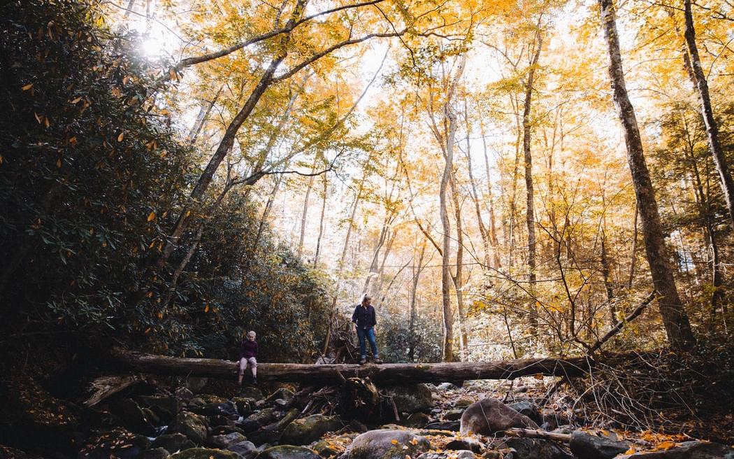 Стрельцов ждут испытания судьбы, а Львов - проблемы с деньгами: гороскоп на выходные