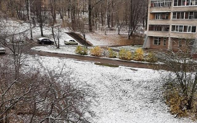 Народный синоптик рассказал, когда в области пройдет первый снегопад