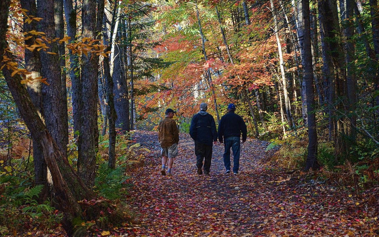Гороскоп для всех на ноябрь: Тельцов ждет рутина, а жизнь Водолеев изменится