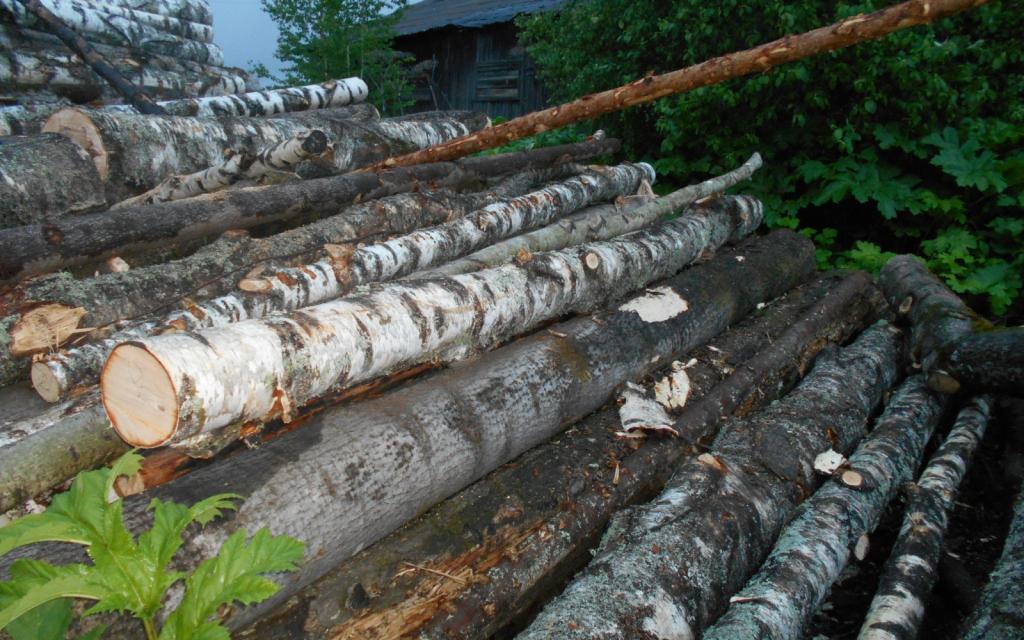 В Кирово-Чепецке мужчина пытался украсть 119 бревен