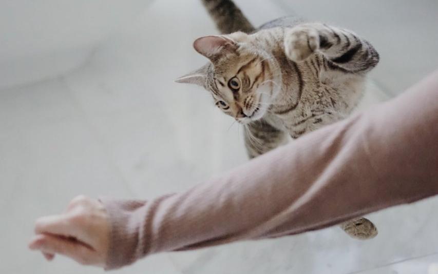 Водолеев ждет удача в деньгах, а Львы захотят сменить работу: гороскоп на неделю