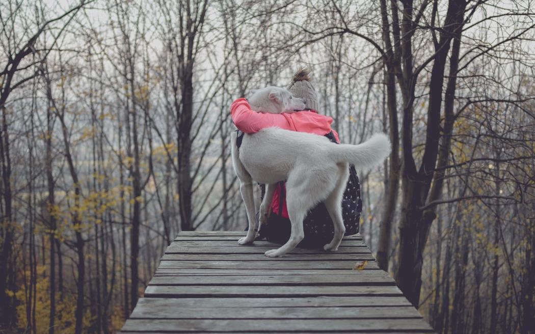 Представителей 3 знаков зодиака ждет резкий позитивный переворот в судьбе