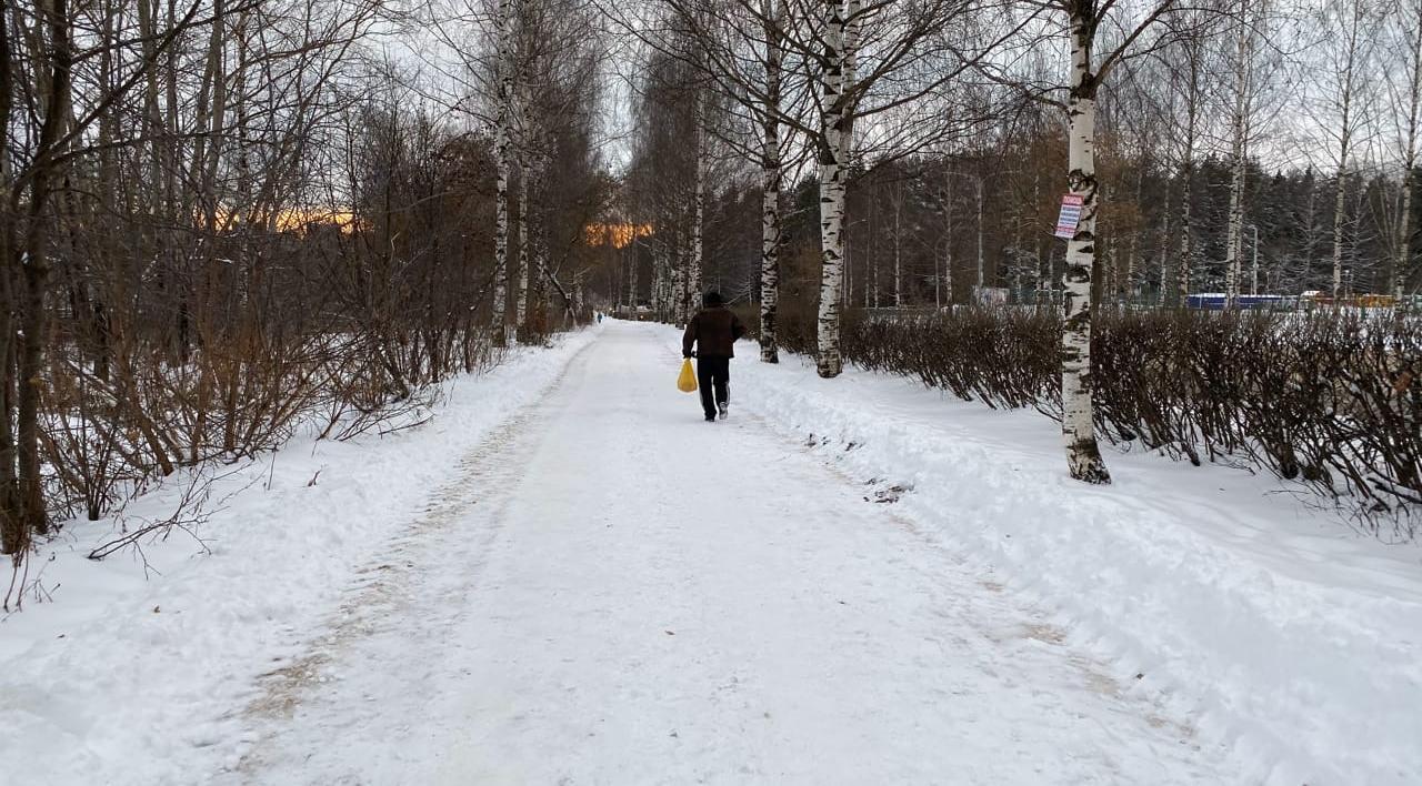 Потепление после легких морозов: прогноз погоды на выходные в Кирово-Чепецке