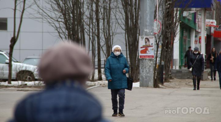 В Кирово-Чепецке будет работать закон, разрешающий штрафовать бабушек за торговлю на улице