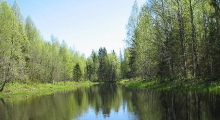 К 2022 году в Кировской области появится национальный парк