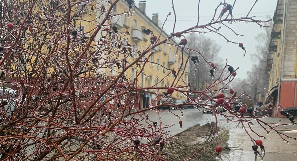 Первые последствия ледяного дождя и снегопада в Кирово-Чепецке