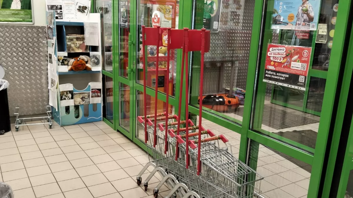 Забежала в "Пятерочку" за молоком, а вышла с целым пакетом добра - вот что нашла интересного