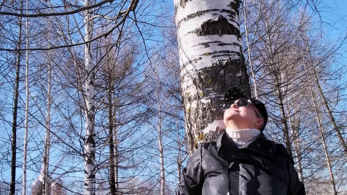 Они разрушат ваш дом: 6 деревьев, которые уничтожат фундамент, трубы и урожай - черный список