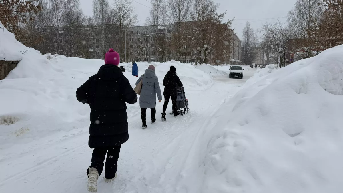 Предупреждение из-за внезапных морозов и метелей объявлено в Кировской области