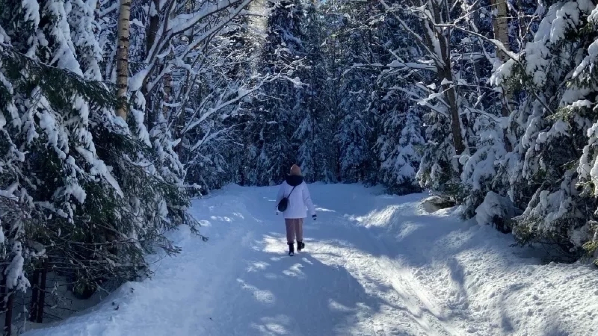 В Кировской области нашли 29 тысяч тонн зерна с нарушениями в декларации