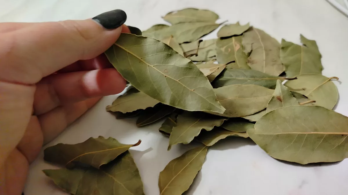 Подсмотрела, как свекровь кладёт мешочек с лавровым листом в туалет.: результат превзошёл все ожидания