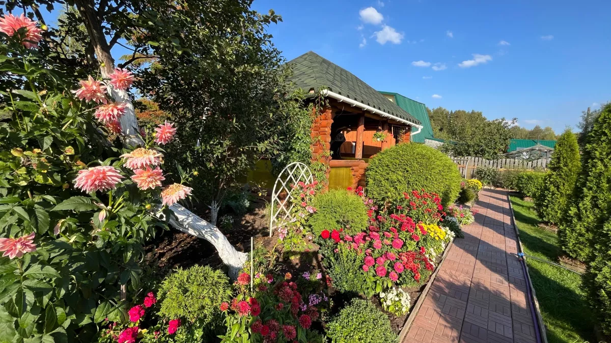 Не вреди саду, не губи семью: старинные приметы дачников, которые мы зря забыли