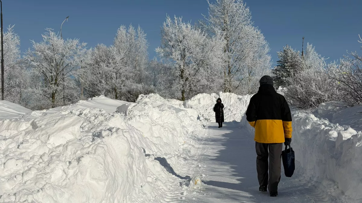 В Кировскую область ввезли 993 тонны солода
