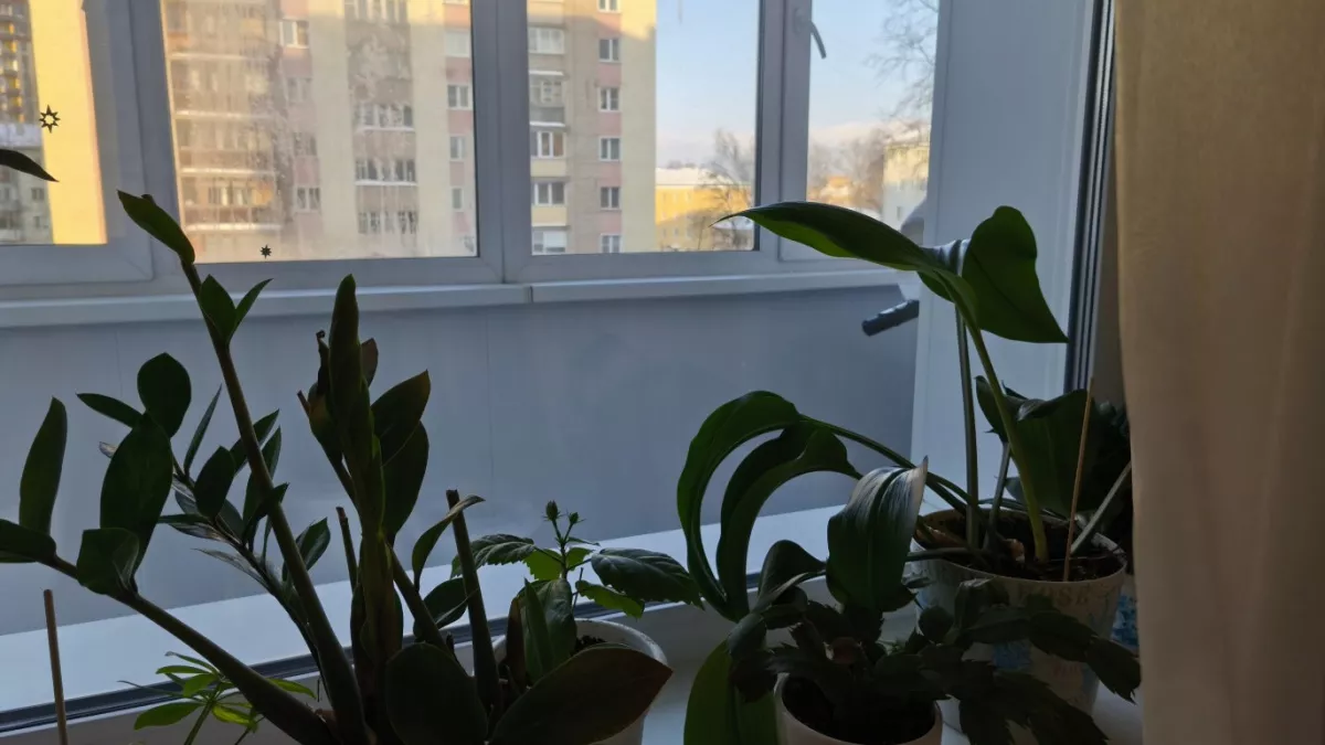 Кружевной тюль ушел из моды: чем советуют заменить громоздкие ткани для трендового ремонта