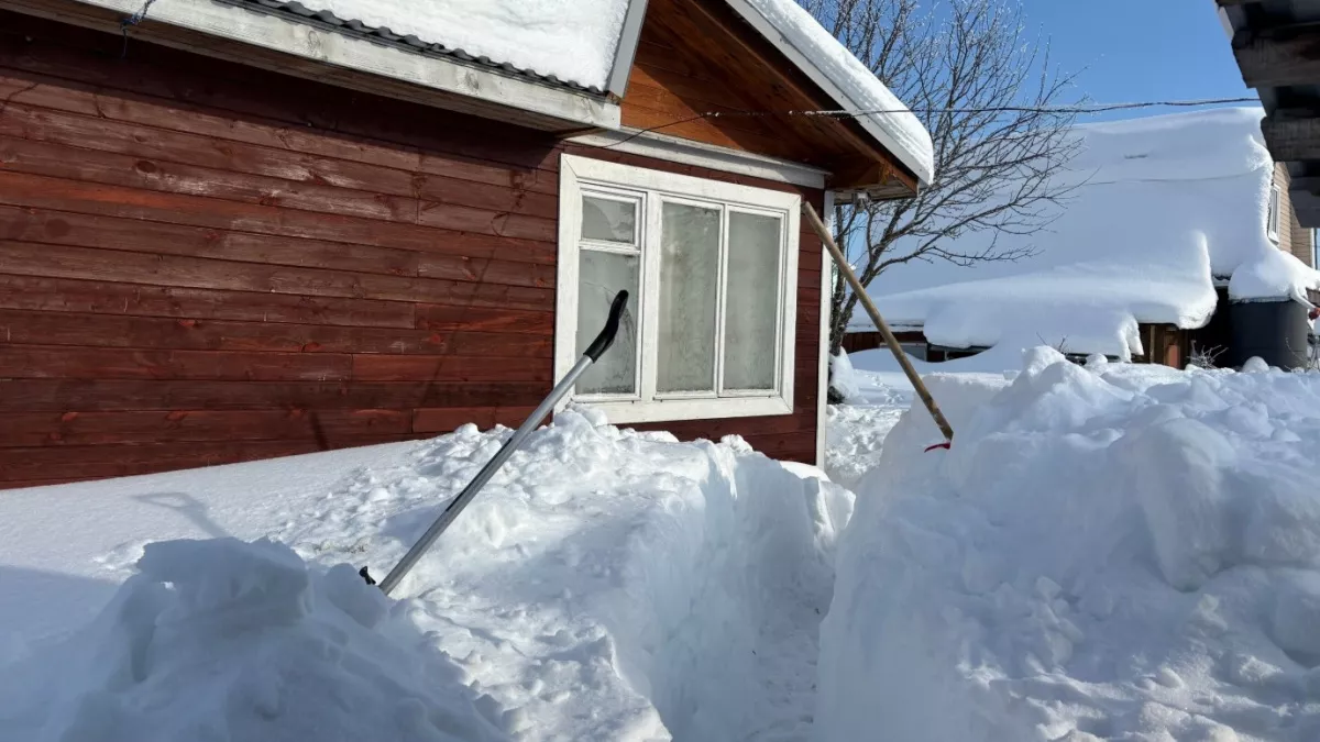 Самая главная проблема частного дома, о которой стесняются говорить вслух - вот что происходит, когда у вас большой дом