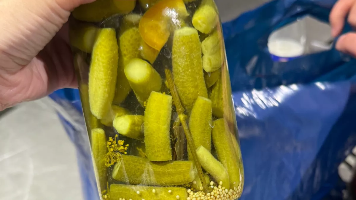 И для салата, и в банку: идеальный огурец, который не лопается при консервации и хрустит до зимы