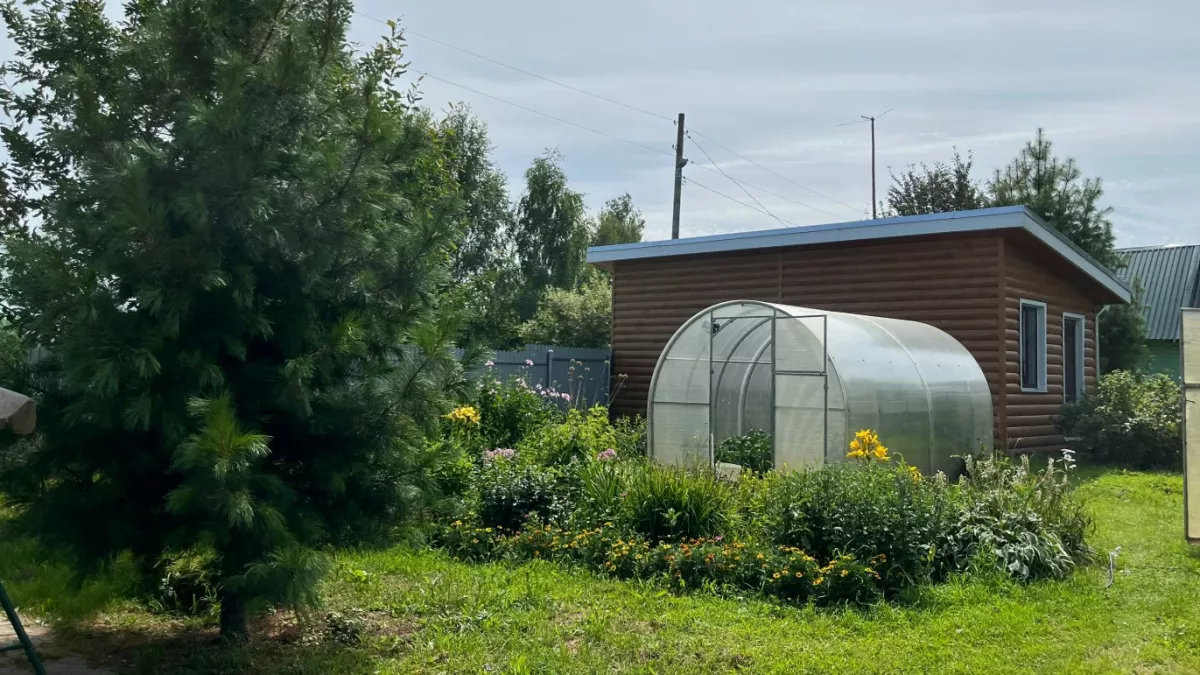 Какие деревья нельзя сажать возле дома - их запрещал еще Мичурин: они привлекут беды на участок 
