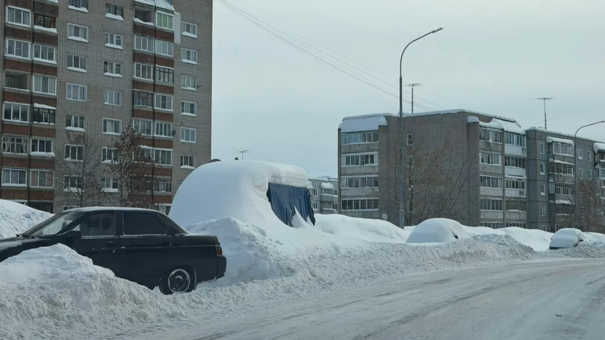 Не попадитесь в ловушку ГАИ: вот почему инспектор спрашивает "Куда едете?" - как правильно отвечать