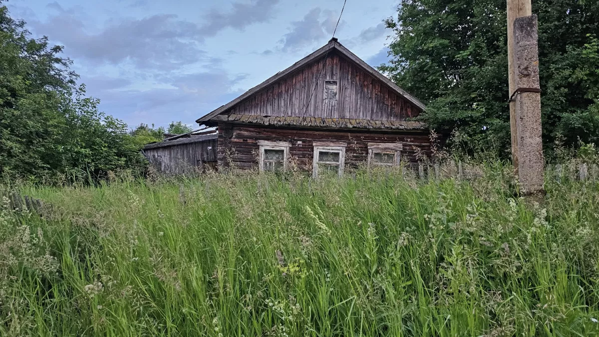 Почему деревенские жители резко перестали сажать картошку — ответ оказался проще, чем кажется 