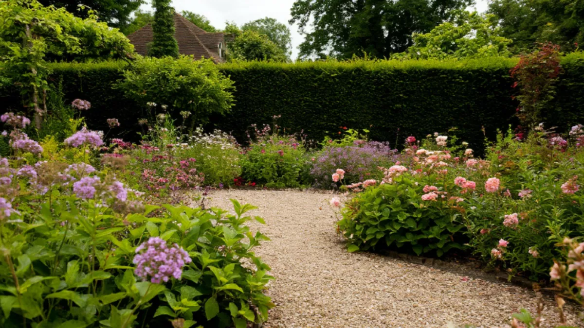 Глина зацветёт: 5 растений, которые превратят ваш тяжёлый грунт в райский сад