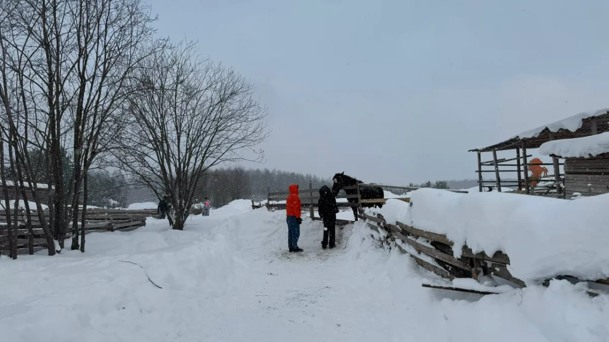 В Кировскую область придет 13-градусная жара: названа точная дата