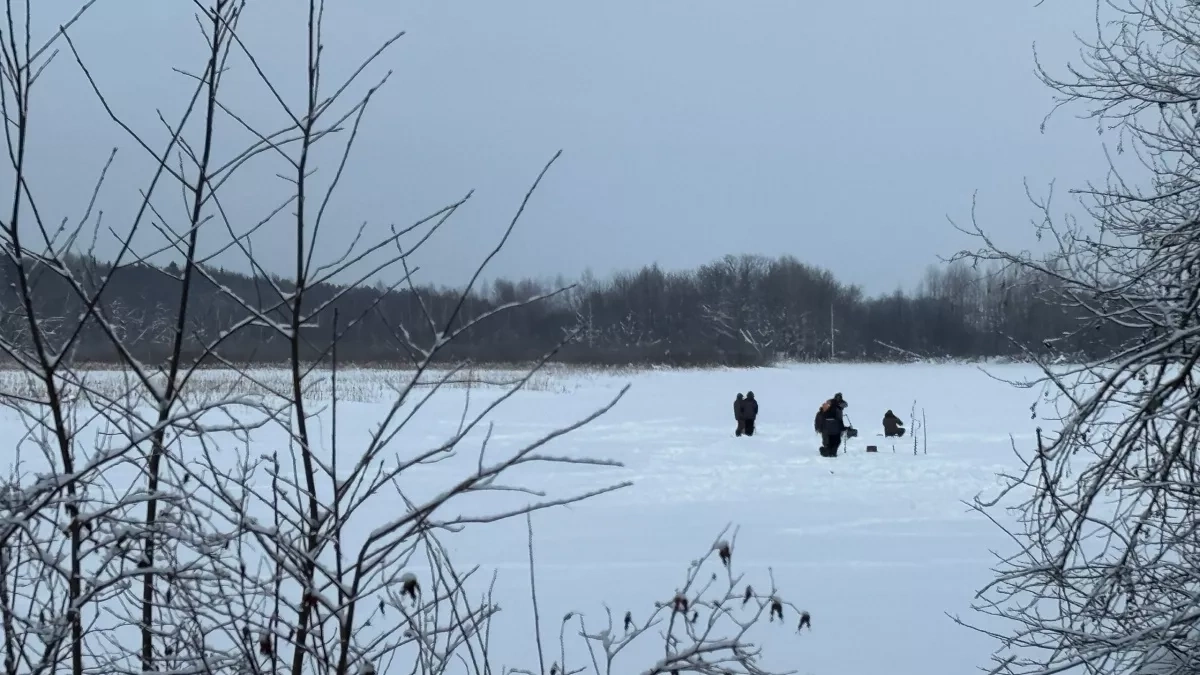 В  Кировской области из-за рекордного количества снега может пострадать урожай