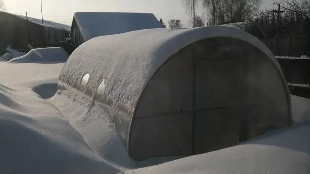 В 2025 году в деревне произошла настоящая революция: почему в городах её даже не заметили