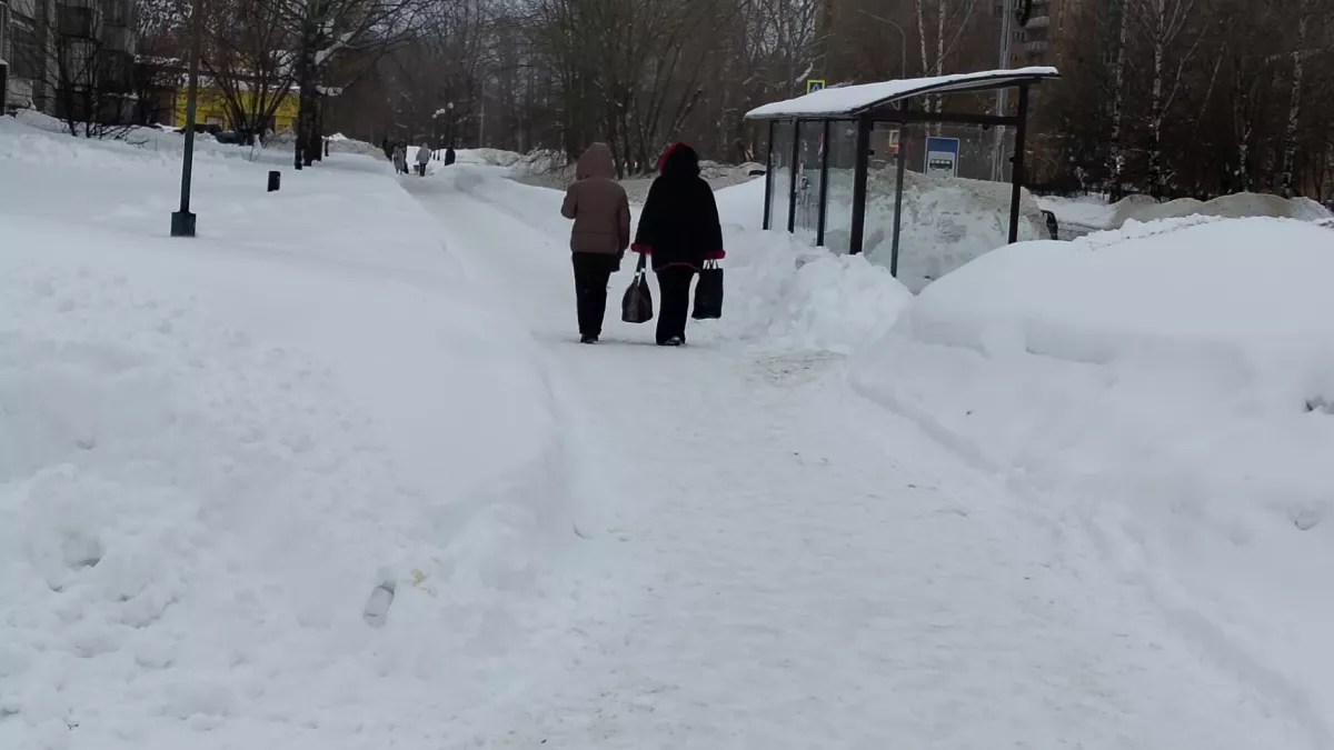 Жительница Кировской области лишилась 2 млн рублей, пытаясь заработать на валюте