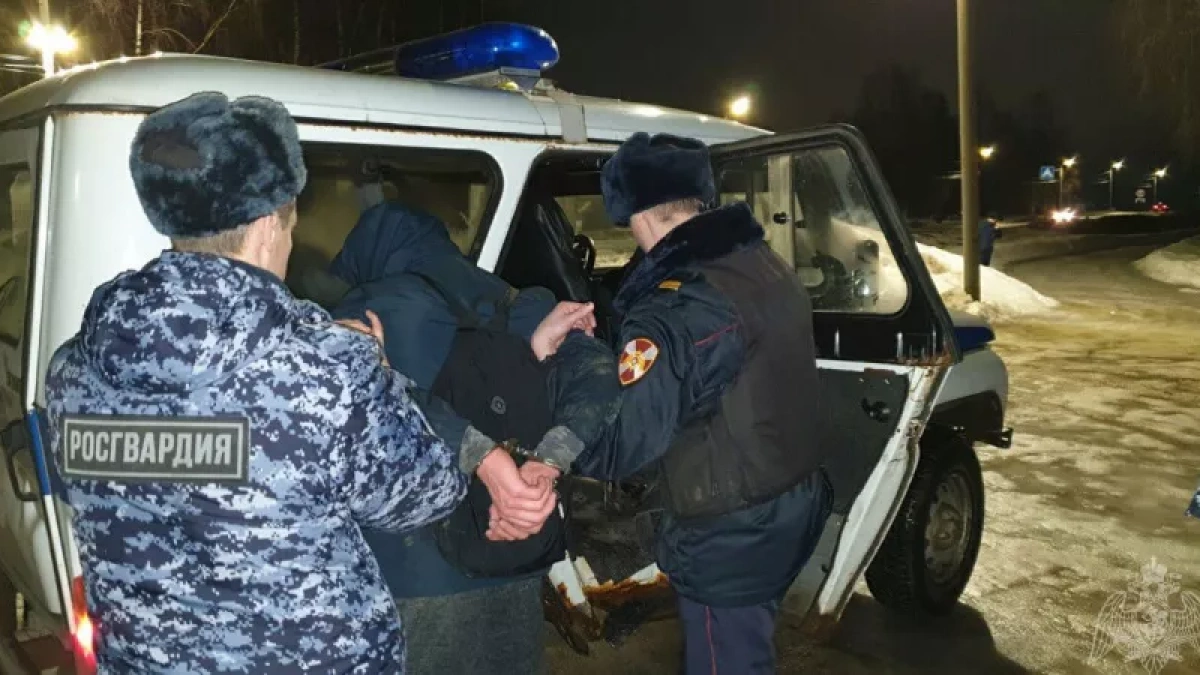 Пьяный житель Чепецка за рулем "Калины" закончил поездку в сугробе на обочине