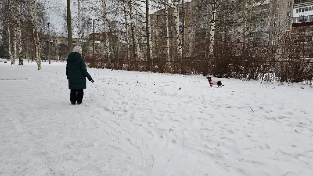 В России вторичное жилье стало лидером по ипотечным выдачам в феврале 2026 года