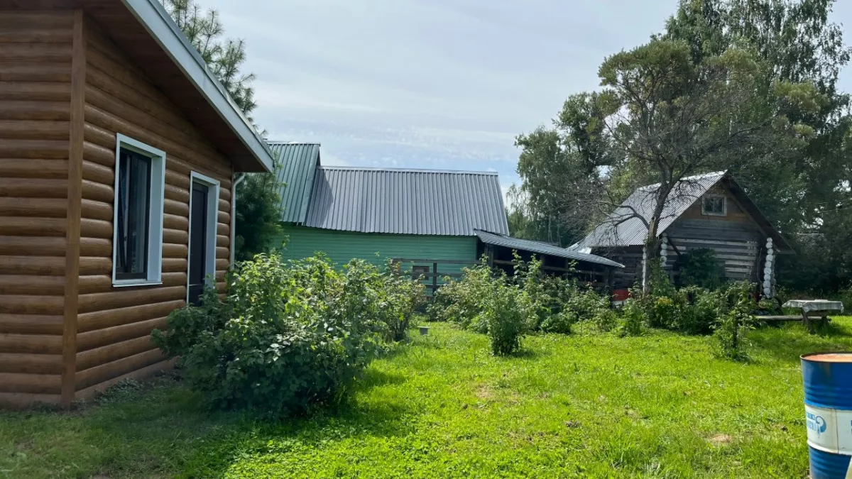 Опаснее борщевика: если на участке растет это дерево - придется платить 700 тысяч: Рослесхоз предупредил дачников