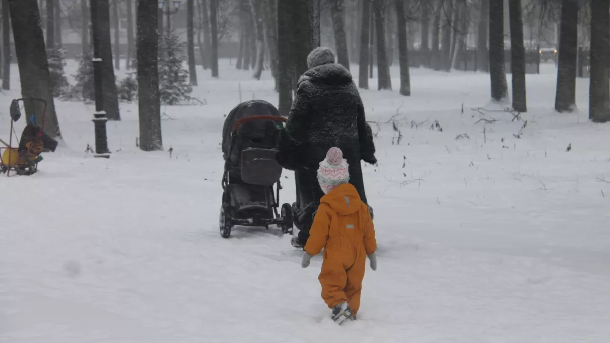 В Кировской области утвердили стратегию поддержки семей до 2036 года