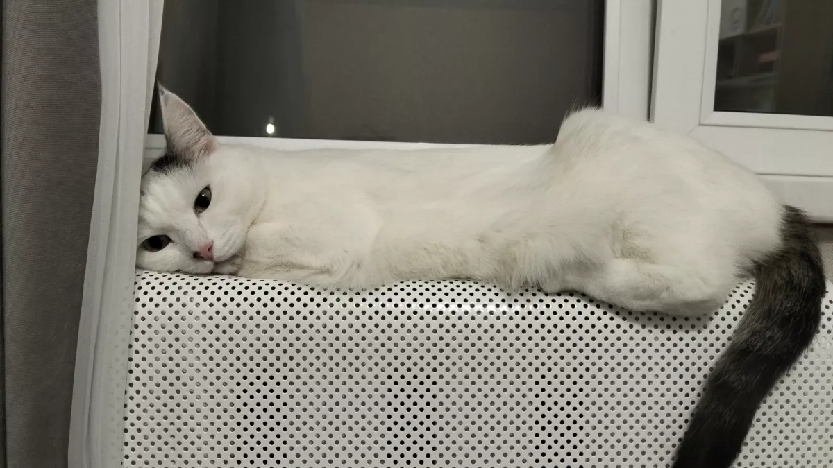 Многие ждут отключения отопления уже при +15 °C, но есть другое правило: в Госдуме назвали точное условие для батарей