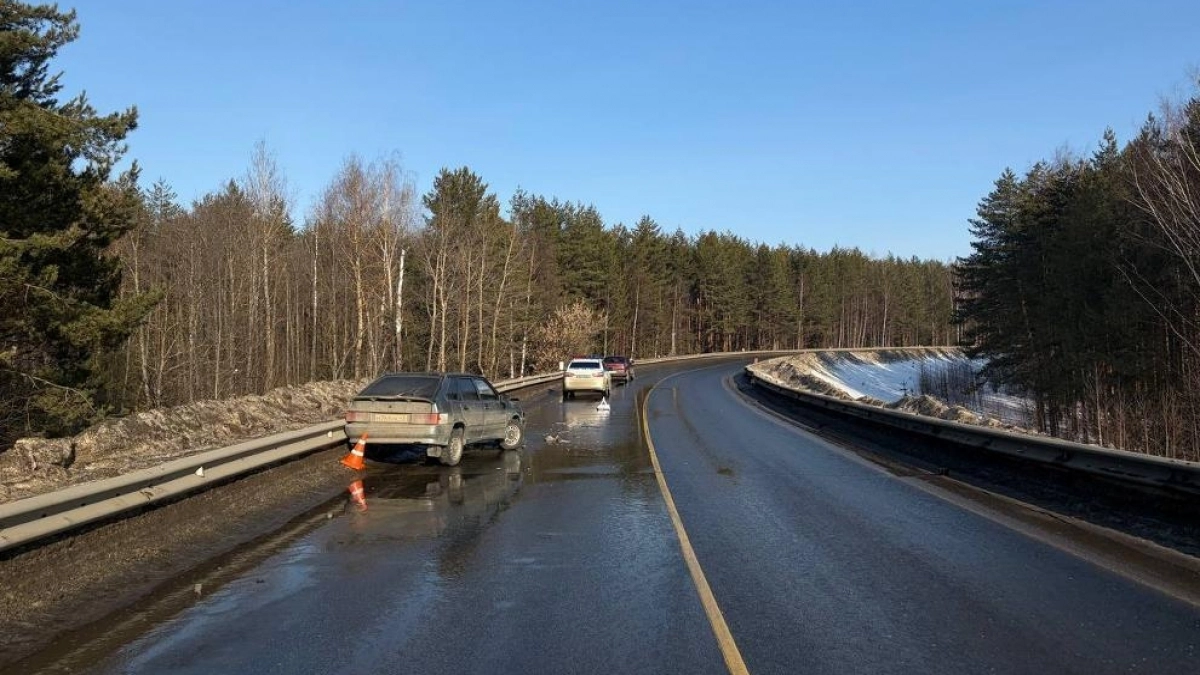 В Кирово-Чепецком районе женщина за рулем "четырнадцатой" въехала в отбойник