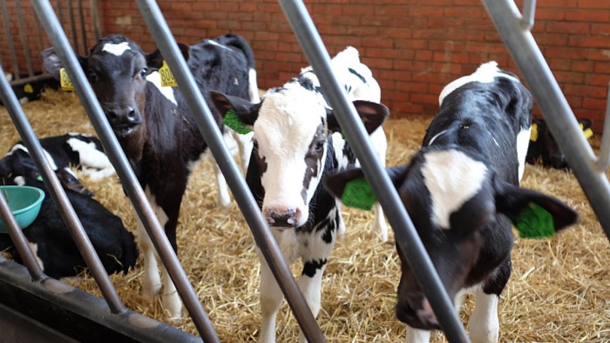 В Белохолуницком районе хотят открыть новое агропредприятие за счет инвестора