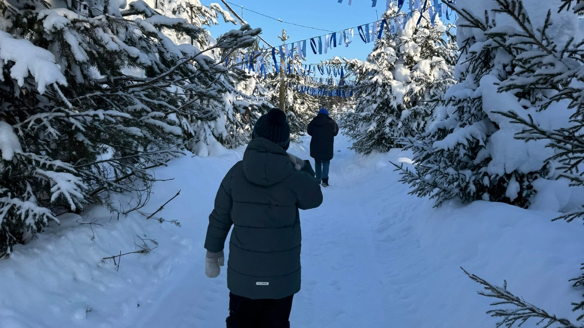Никаких нотаций и наказаний: одна фраза заменяет всё воспитание — проверено поколениями