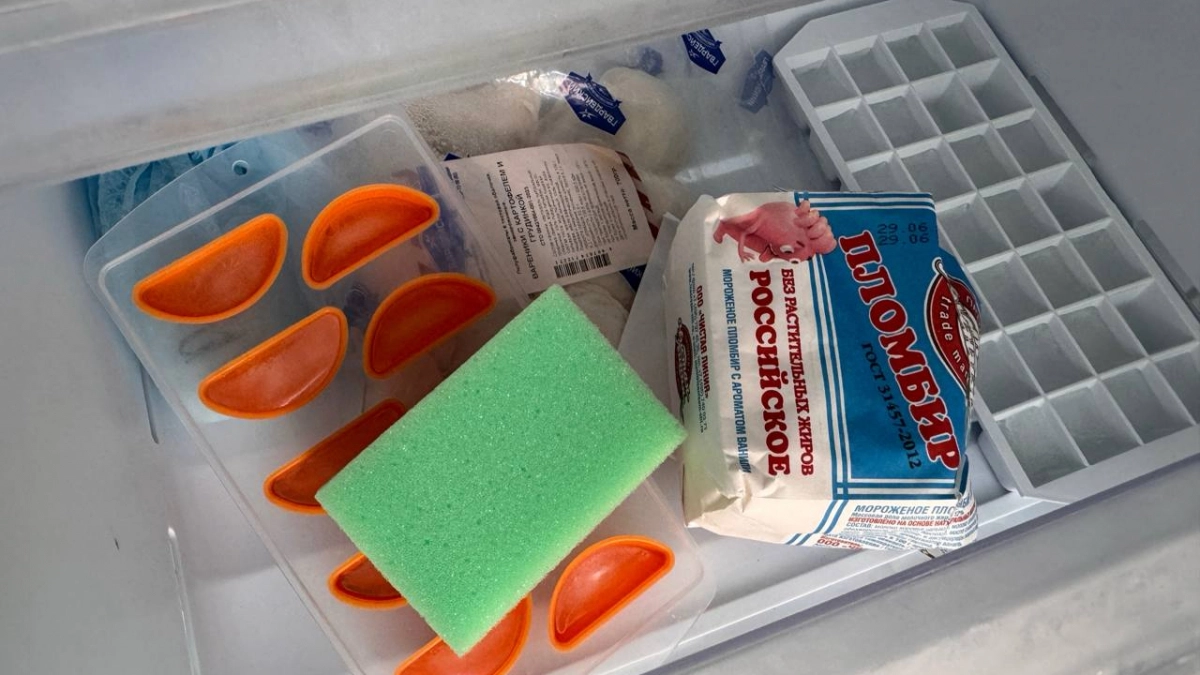 Для чего губку для посуды нужно класть в морозилку - хитрые хозяйки так давно делают, а я узнала этот секрет только в 37